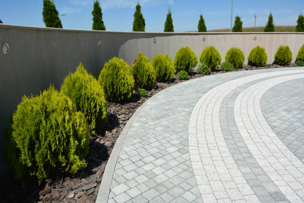 Best Commercial Driveway Pavers  in Midway North, TX